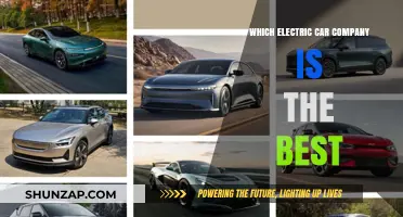 Top Electric Car Brands: Who Leads the EV Revolution?