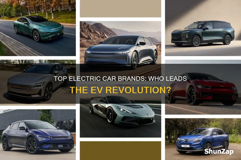 which electric car company is the best