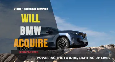 BMW's Next Move: Which Electric Car Company Will It Acquire?
