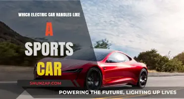Electric Speedsters: Which EV Delivers Sports Car Handling?