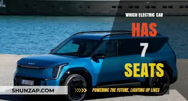 Best 7-Seat Electric Cars for Families: Spacious and Eco-Friendly Options