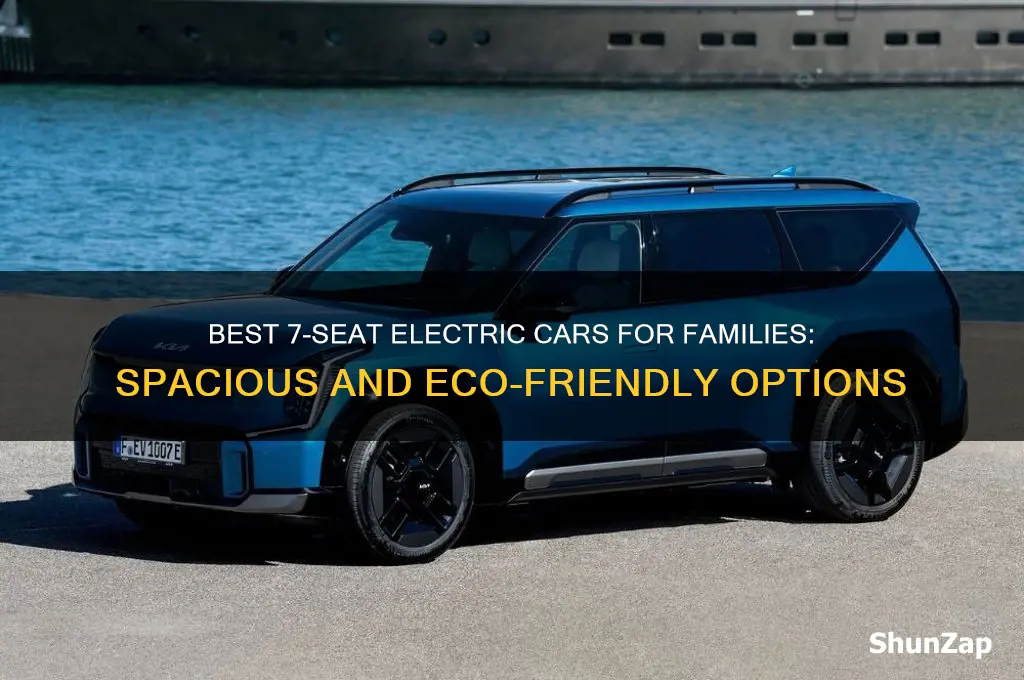 which electric car has 7 seats