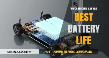 Top Electric Cars with Longest-Lasting Batteries: A Comprehensive Guide