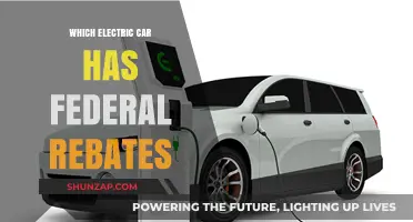 Unlock Federal Rebates: Top Electric Cars Qualifying for Savings