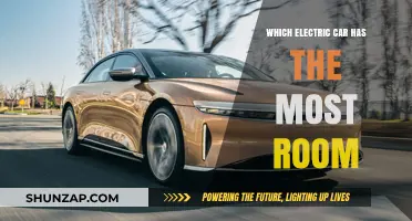 Spacious Electric Vehicles: Discover the Roomiest EV Models Available Today