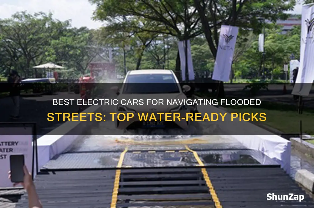 which electric car is best in high water on streets