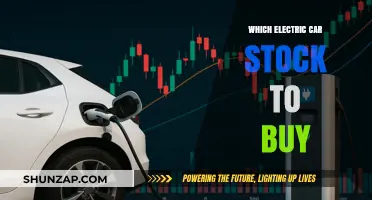 Top Electric Car Stocks to Invest in for Maximum Returns