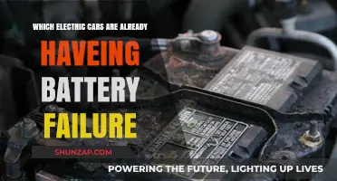 Electric Car Battery Failures: Models Facing Early Power Issues