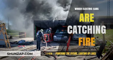 Electric Car Fire Risks: Which Models Are Most Vulnerable?
