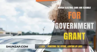 Government Grants: Which Electric Cars Qualify for Financial Assistance?