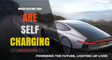 Self-Charging Electric Cars: Unveiling Models with Regenerative Braking Technology