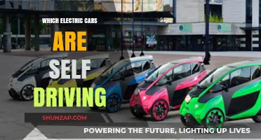 Exploring Self-Driving Electric Cars: Top Models with Autonomous Features