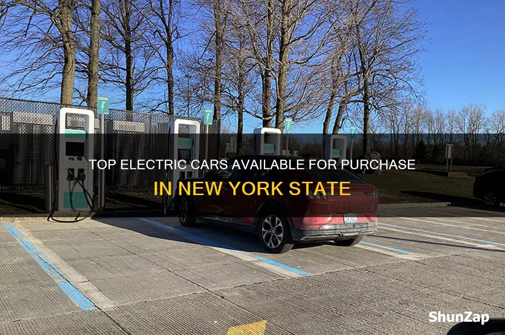 which electric cars are sold in ny state