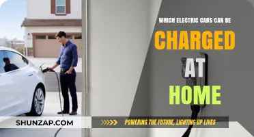 Home Charging Made Easy: Electric Cars Compatible with Residential Charging