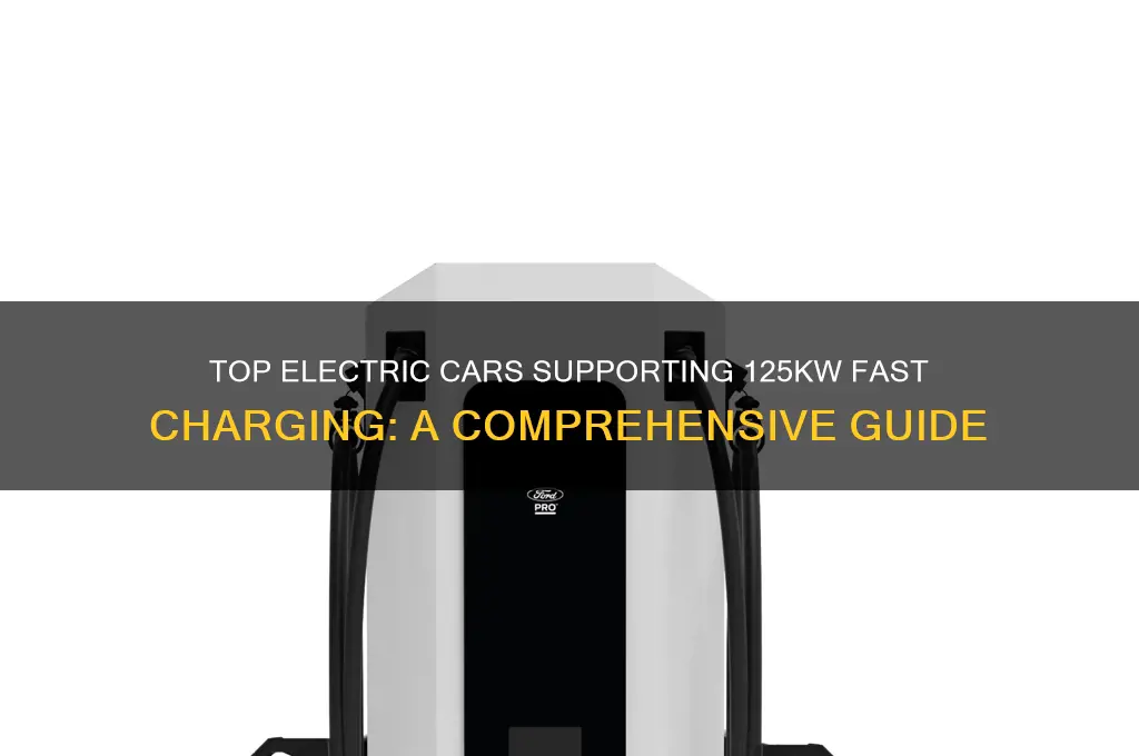 which electric cars can charge at 125kw
