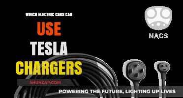 Which Electric Cars Are Compatible with Tesla Charging Stations?