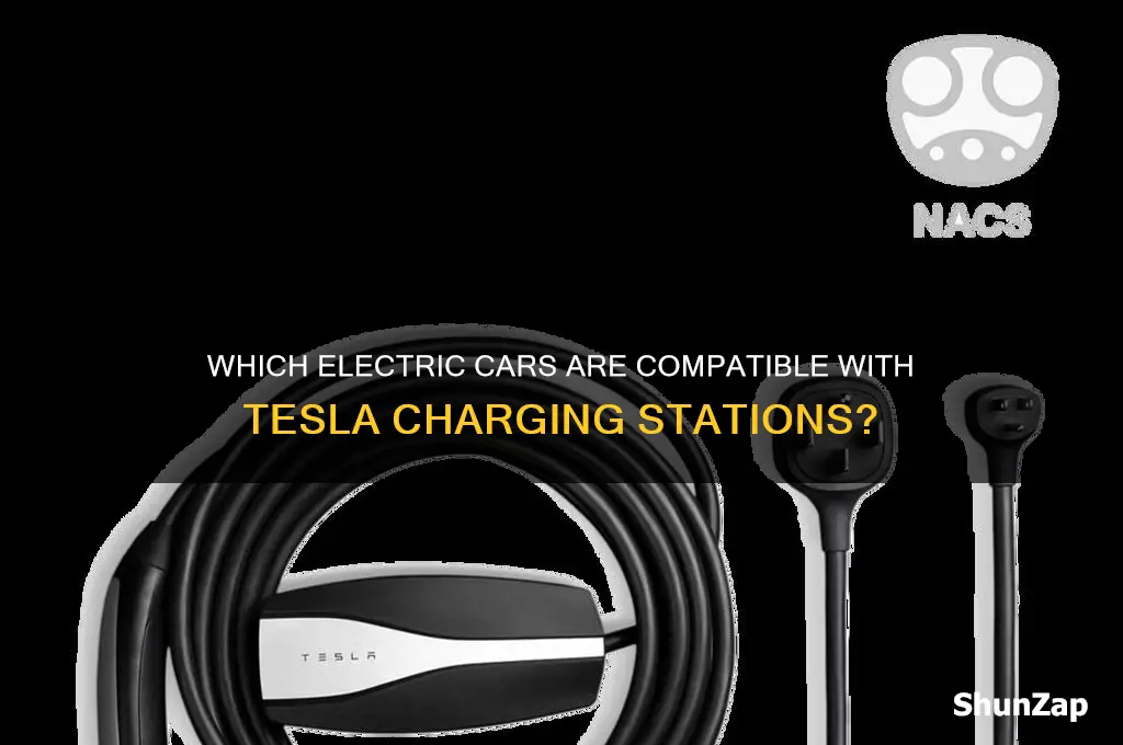 which electric cars can use tesla chargers