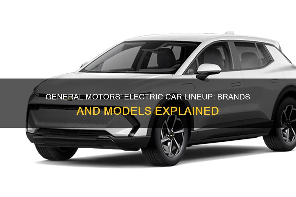 which electric cars does general motors own
