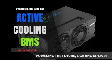Electric Cars with Active Cooling BMS: Top Models Compared