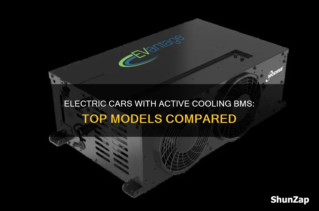 which electric cars has active cooling bms