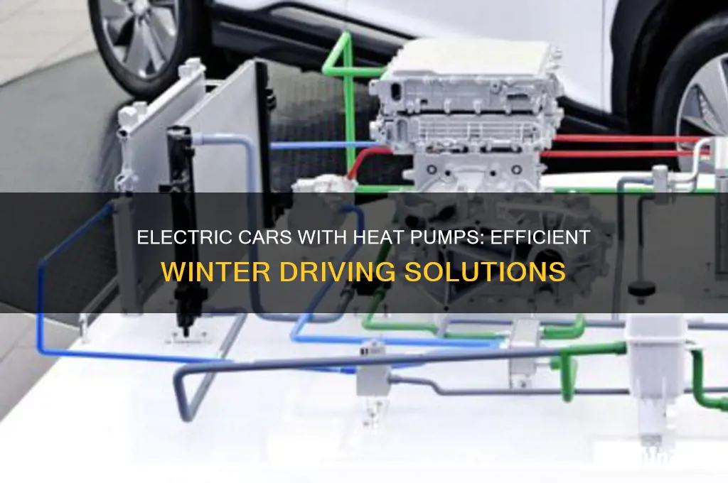 which electric cars have a heat pump