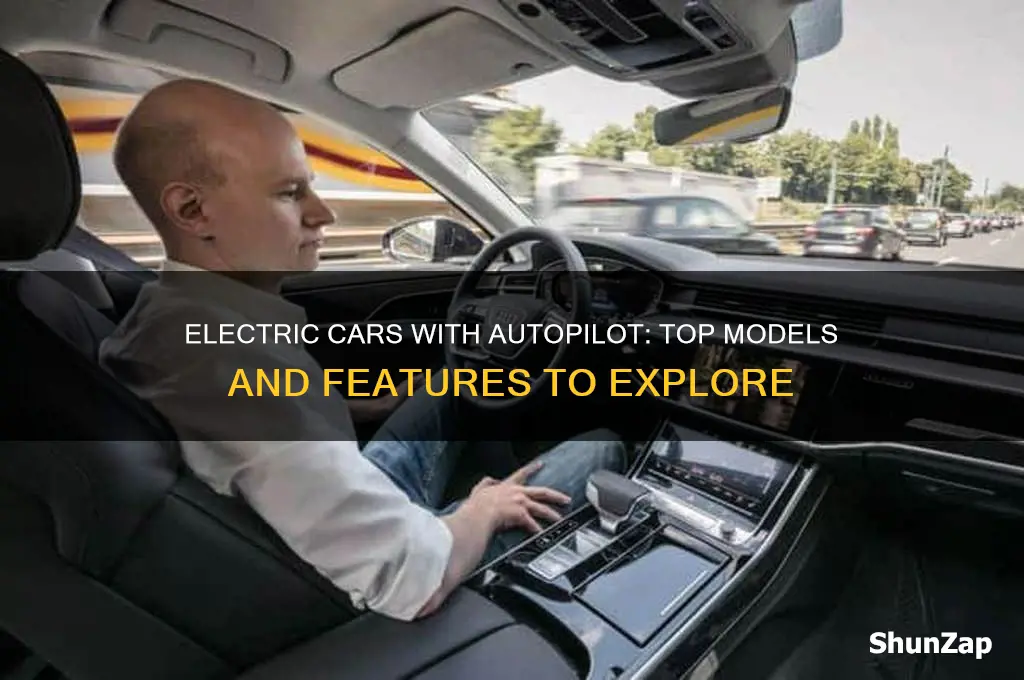 which electric cars have autopilot