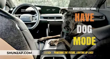 Electric Cars with Dog Mode: Keeping Your Pup Safe and Comfy