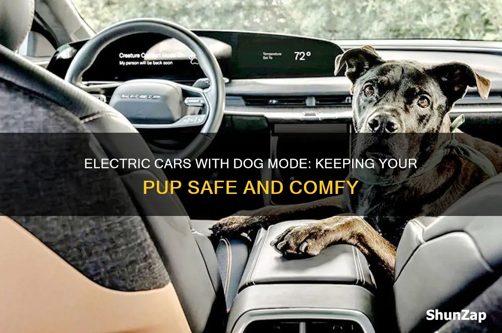 which electric cars have dog mode