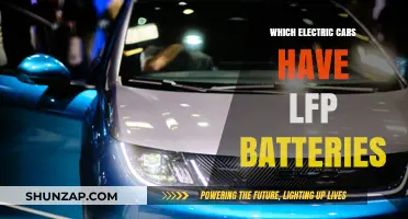 Electric Cars with LFP Batteries: Top Models and Benefits