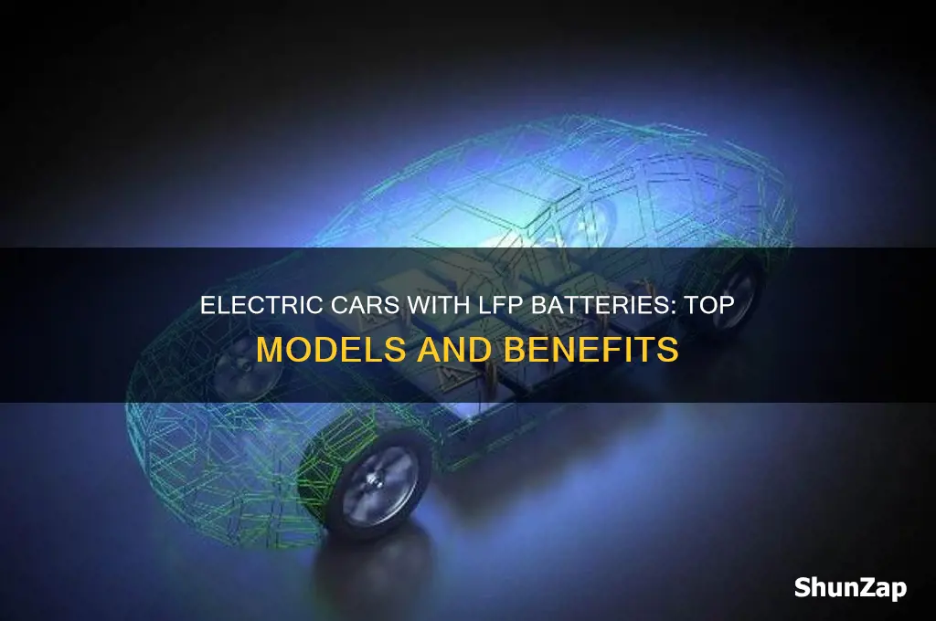 which electric cars have lfp batteries