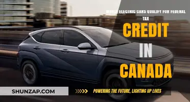 Canada's Federal Tax Credit: Eligible Electric Vehicles for 2023