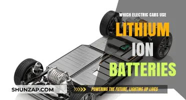 Electric Cars Powered by Lithium-Ion Batteries: Top Models Revealed