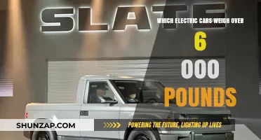 Heavyweight Electric Vehicles: Exploring EVs Weighing Over 6,000 Pounds