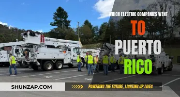 Powering Puerto Rico: Electric Companies' Response to the Crisis