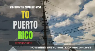 Electric Companies That Went to Puerto Rico
