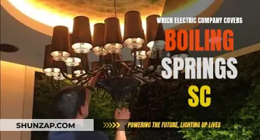 Electricity Providers in Boiling Springs, SC: Your Power Source