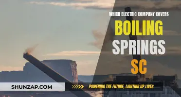 Electric Company Options for Boiling Springs, SC Residents