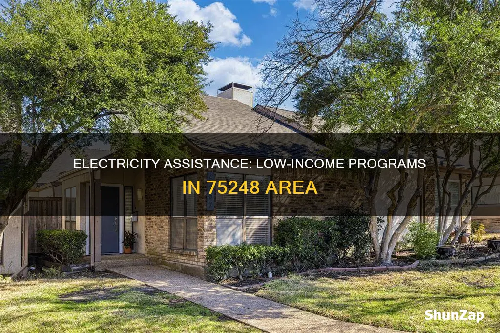 which electric company in 75248 has low income program