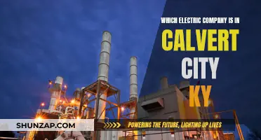 Calvert City's Electric Power: Unveiling the Leading Provider