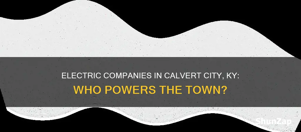 which electric company is in calvert city ky