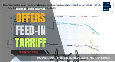 Feed-in Tariff: Which Electric Company Offers the Best Deal?