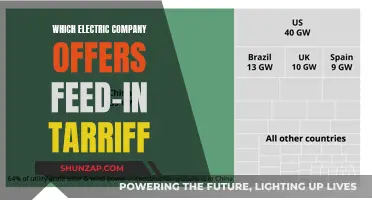 Electric Companies Offering Feed-In Tariffs: Your Options Explored