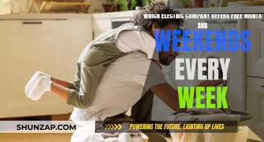 Electric Companies Offering Free Nights and Weekends: Who? When?