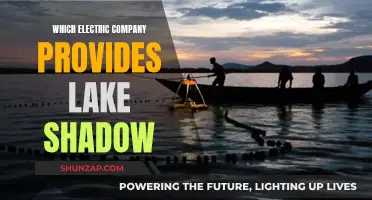 Lake Shadow's Power: Unveiling the Electric Company Behind the Scenes