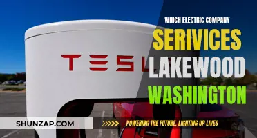 Electric Companies in Lakewood, Washington: Who Powers the City?