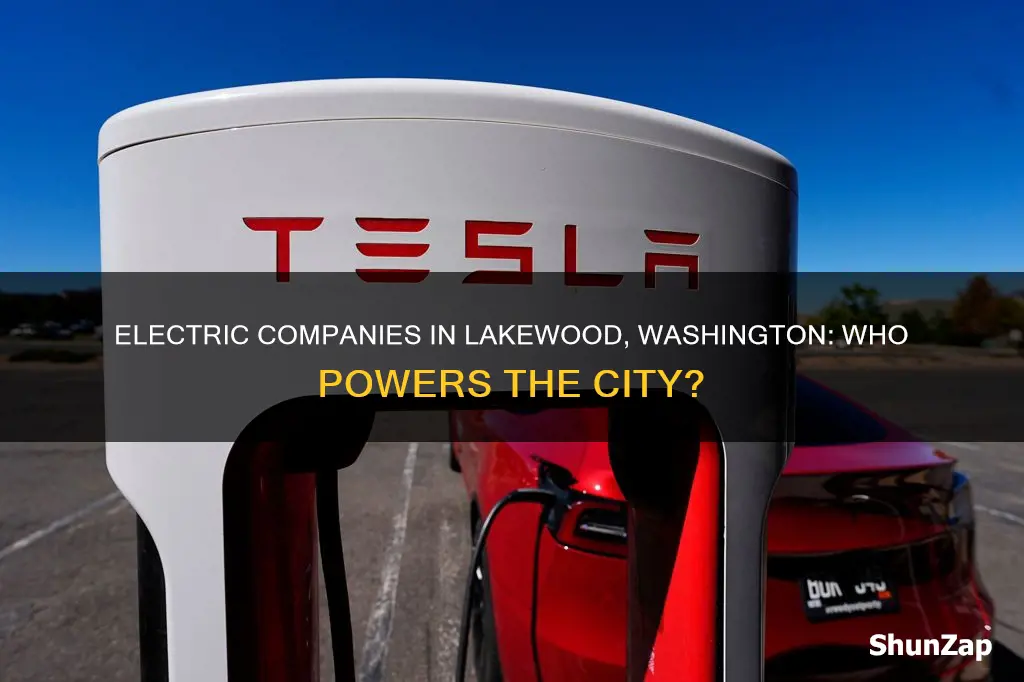 which electric company serivices lakewood washington