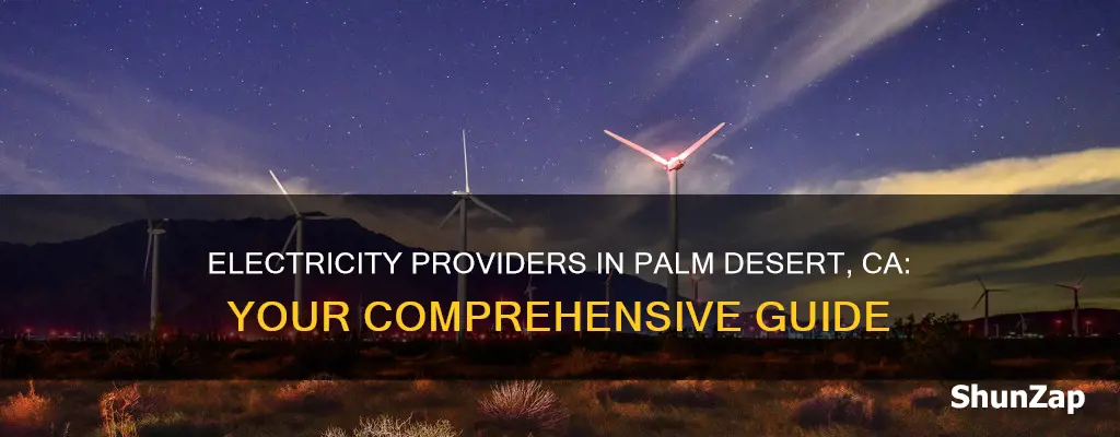 which electric company service 14 via palmira palm desert ca