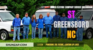 Greenbriar Street's Green Energy: Greensboro's Electric Company Options