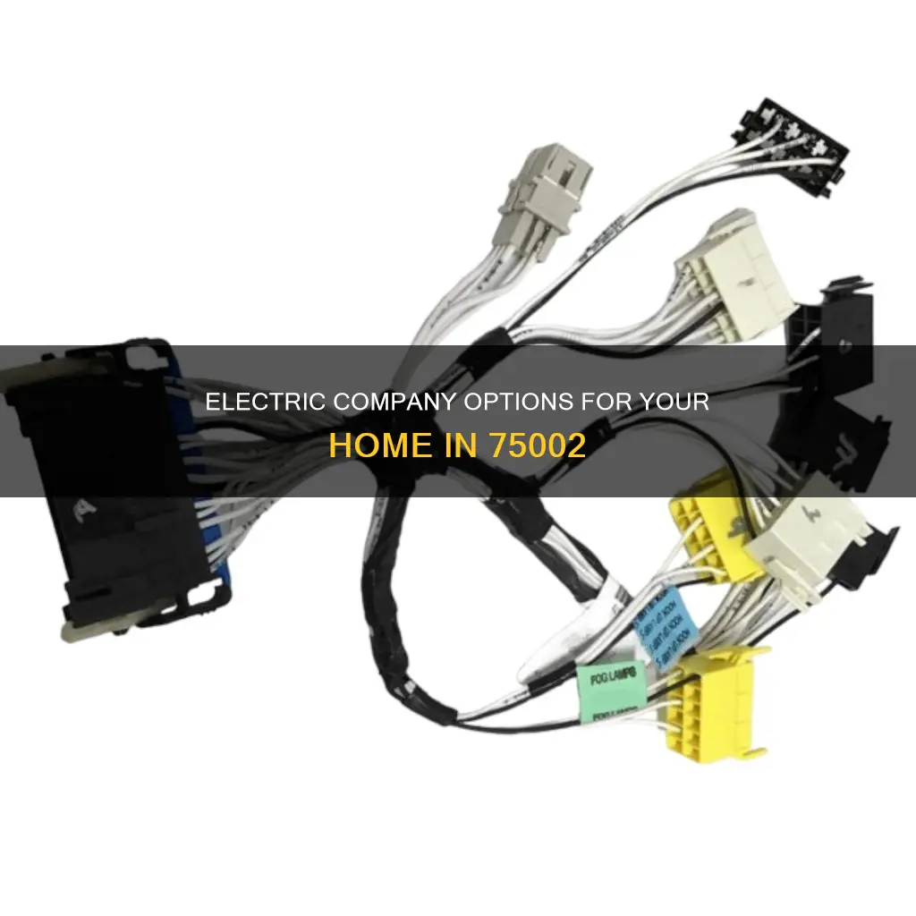 which electric company service zip coe 75002