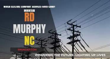 Electricity for Candy Mountain Rd: Murphy's Power Company Guide